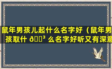 鼠年男孩儿起什么名字好（鼠年男孩取什 🌳 么名字好听又有深意）